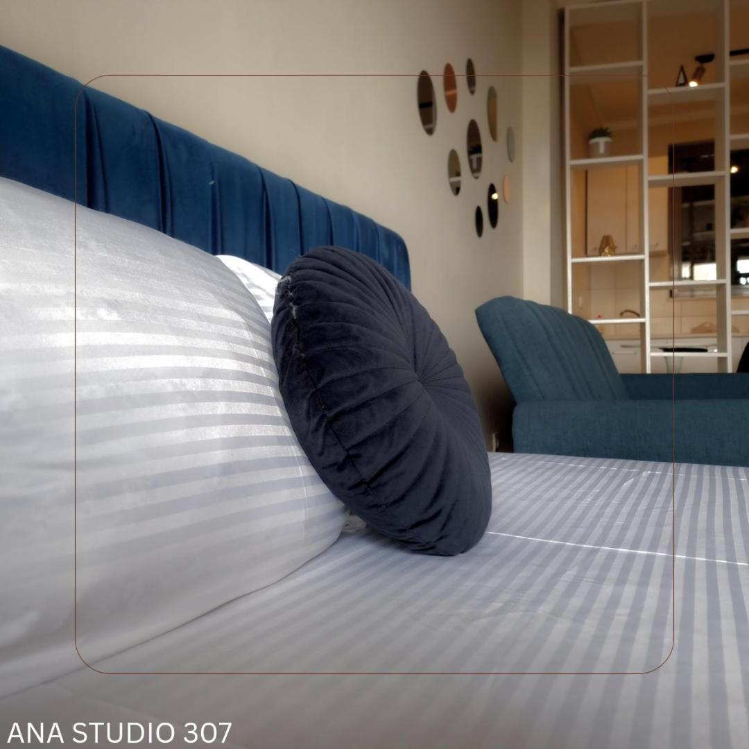 Appartement Ana Studio 307 à Pristina Extérieur photo