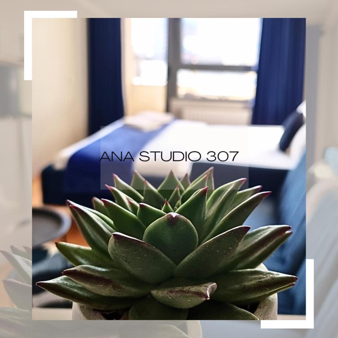 Appartement Ana Studio 307 à Pristina Extérieur photo